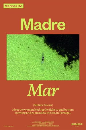 Постер: Madre Mar