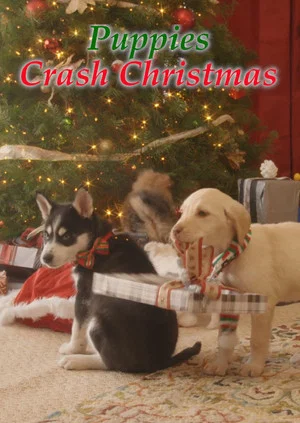 Постер: Streaming Wonderland: Puppies Crash Christmas