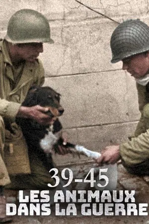 Постер: Animals at War, Wild Heroes of World War II