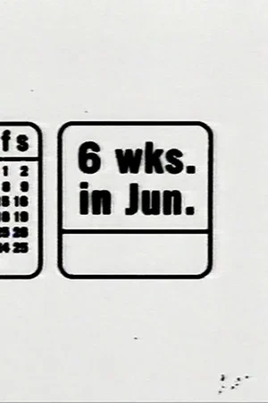 Постер: 6 Weeks in June