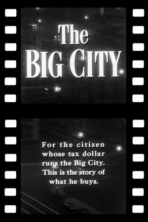 Постер: The Big City