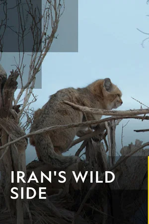 Постер: Iran's Wild Side