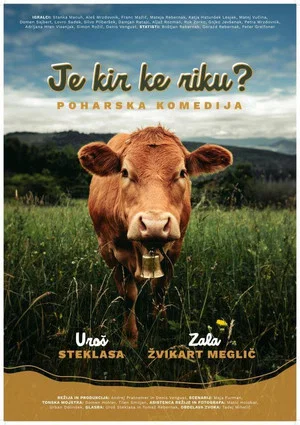 Постер: Je kir ke riku? Poharska komedija