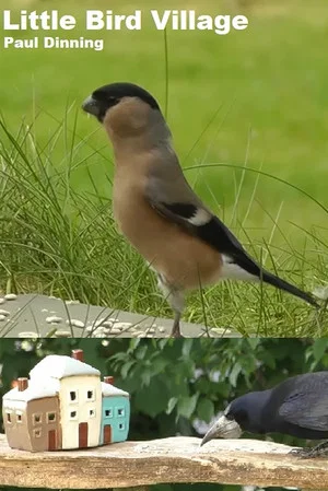 Постер: Little Bird Village