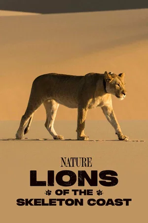 Постер: Lions of the Skeleton Coast