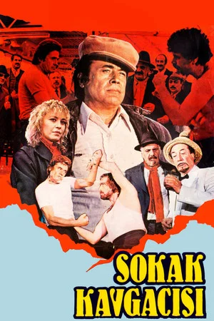 Постер: Sokak Kavgacısı