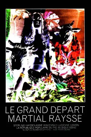 Постер: The Big Departure