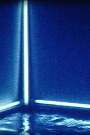 Постер: FIRST SIGHT OF VIEW