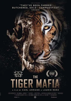 Постер: The Tiger Mafia