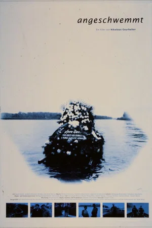 Постер: Washed Ashore