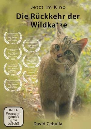 Постер: The Return of the Wildcat