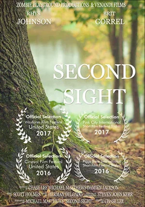 Постер: Second Sight