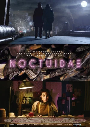 Постер: Noctuidae