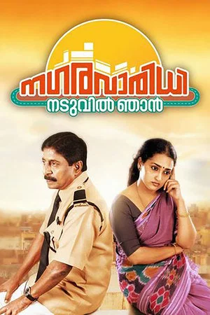 Постер: Nagaravaridhi Naduvil Njan