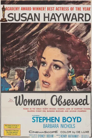 Постер: Woman Obsessed