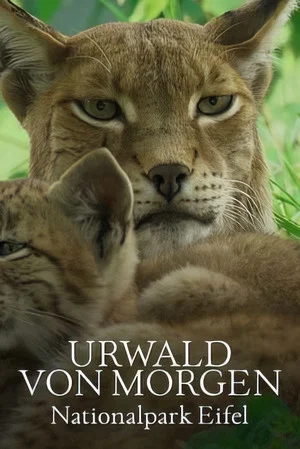 Постер: Urwald von morgen – Nationalpark Eifel