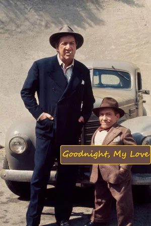 Постер: Goodnight, My Love