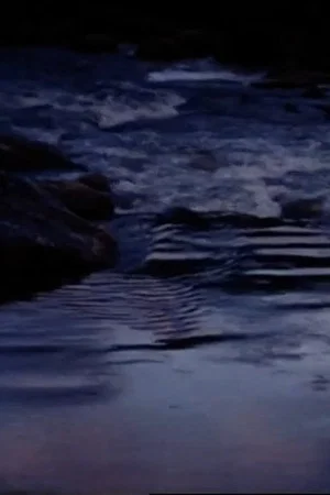 Постер: Falling Water
