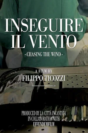 Постер: Chasing The Wind