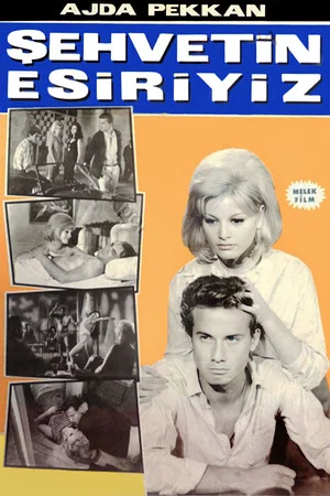 Постер: Şehvetin Esiriyiz