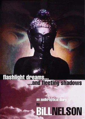 Постер: Flashlight Dreams and Fleeting Shadows: an Audio-Optical Diary by Bill Nelson