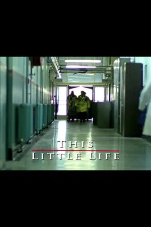 Постер: This Little Life