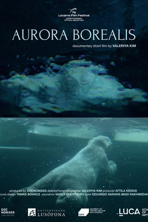 Постер: Aurora Borealis