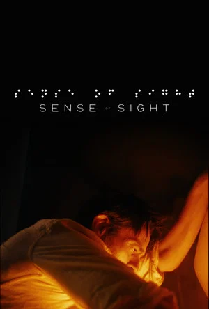 Постер: Sense of Sight