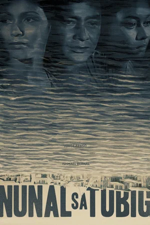 Постер: A Speck in the Water