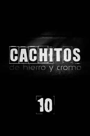 Постер: 10 сезон