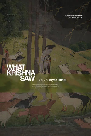 Постер: What Krishna Saw