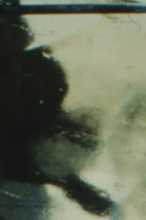 Постер: The Winter Footage