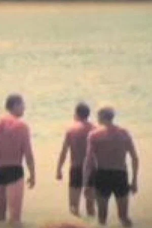 Постер: Tarde de verano