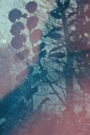 Постер: Lovetape Film
