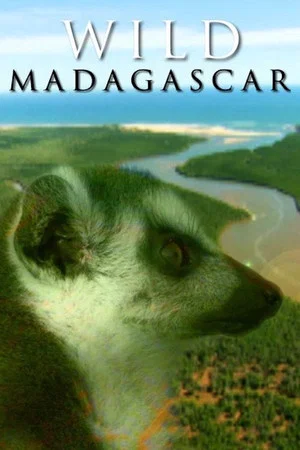 Постер: Wild Madagascar