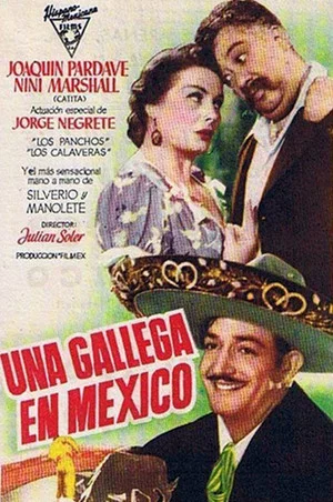 Постер: Una gallega en México