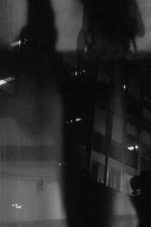 Постер: Night Reflection (IV)