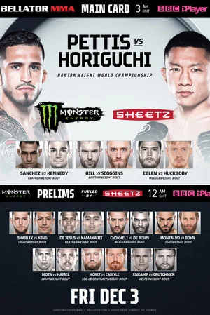 Постер: Bellator 272: Pettis vs. Horiguchi