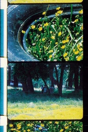 Постер: Bouquets 1-10