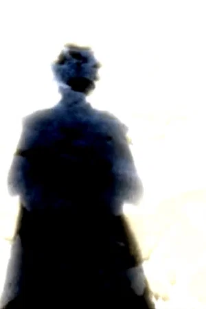 Постер: Split Infinities: Self-Portrait Reconsidered