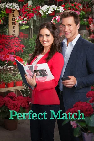 Постер: Perfect Match