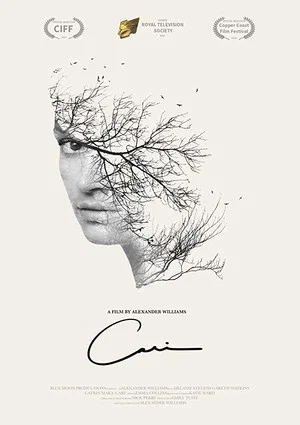 Постер: Cari