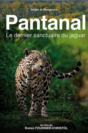 Постер: Pantanal, le dernier sanctuaire du jaguar