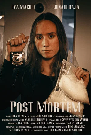 Постер: Post Mortem
