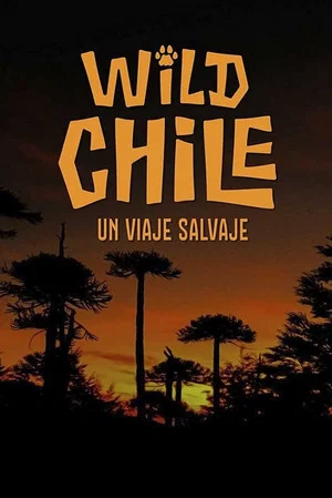 Постер: Chile: A Wild Journey - The Special