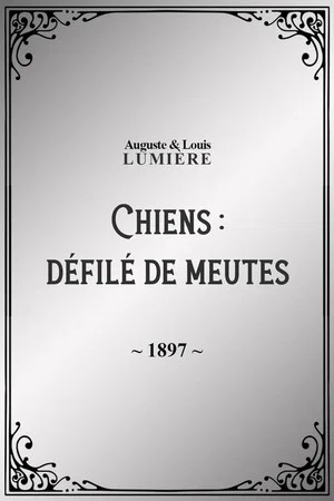 Постер: Chiens : défilé de meutes