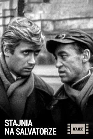 Постер: Stajnia na Salvatorze