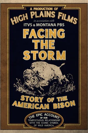 Постер: Facing the Storm: Story of the American Bison