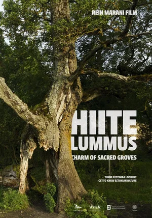 Постер: Charm of Sacred Groves