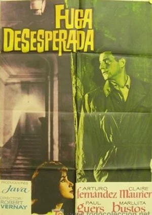 Постер: Desperate Flight